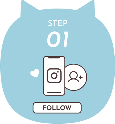step01:follow