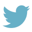アイコン：Twitter